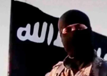 Presidency says 2024 report on Al-Minuki’s death was mistaken identity