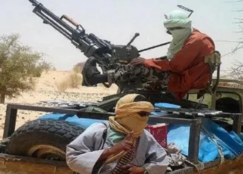 Insurgents set up checkpoints near Bamako, urge Malians to rise against junta