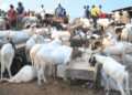 FG declares Wednesday, Thursday public holidays for Eid-el-Kabir 98 FG declares Wednesday, Thursday public holidays for Eid-el-Kabir
