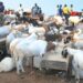 FG declares Wednesday, Thursday public holidays for Eid-el-Kabir 2 FG declares Wednesday, Thursday public holidays for Eid-el-Kabir