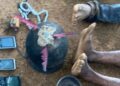 Soldiers break up suspected kidnappers’ checkpoint, arrest two in Benue