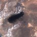 Saudi Arabia halts key oil pipeline after attack as Houthis tighten Red Sea control 2 Saudi Arabia halts key oil pipeline after attack as Houthis tighten Red Sea control