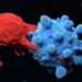 Experimental T-Cell therapy clears metastatic liver cancer in three-year-old boy 3 Experimental T-Cell therapy clears metastatic liver cancer in three-year-old boy