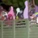 Anguish in Niger State as families await word on hundreds abducted in massive raid
