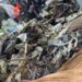 NAF, Navy, NSIB divers recover more wreckage from Ondo aircraft crash site 4 NAF, Navy, NSIB divers recover more wreckage from Ondo aircraft crash site
